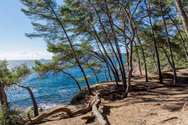 Studio Climatise Avec Jardin Et Plage A 250M Saint-Mandrier-sur-Mer Εξωτερικό φωτογραφία