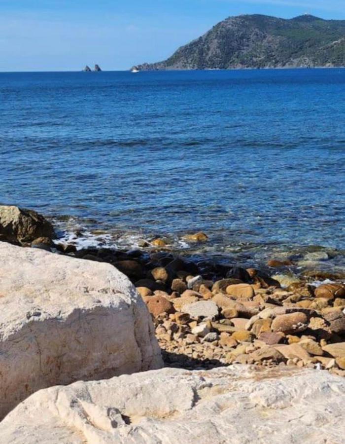 Studio Climatise Avec Jardin Et Plage A 250M Saint-Mandrier-sur-Mer Εξωτερικό φωτογραφία
